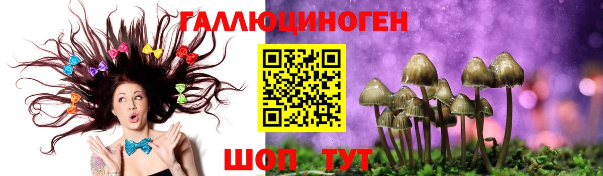 Петрозаводск  Галлюциногенные грибы Psilocybe  Вход с VPN 